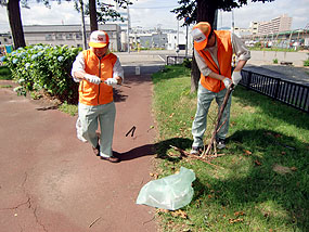 公園に落ちている枝の処理