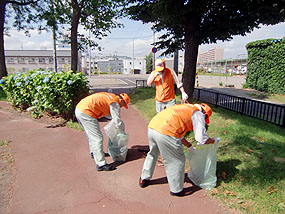 公園に落ちている枝の処理