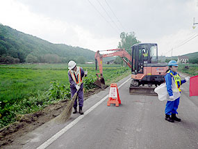 路肩ボサめくり